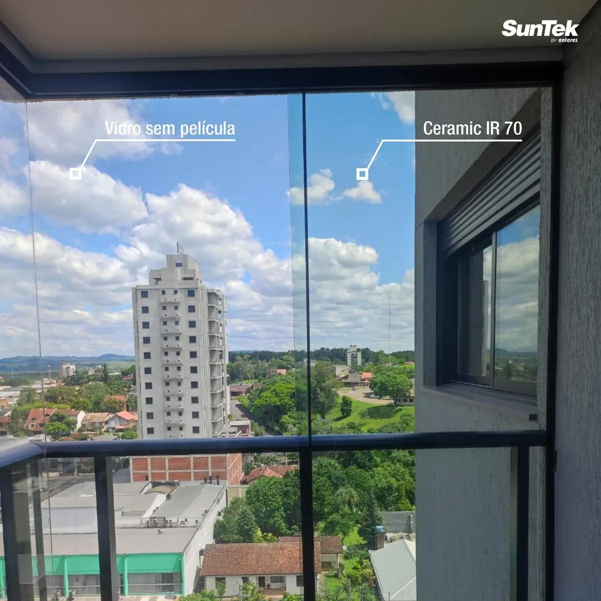 Película Transparente